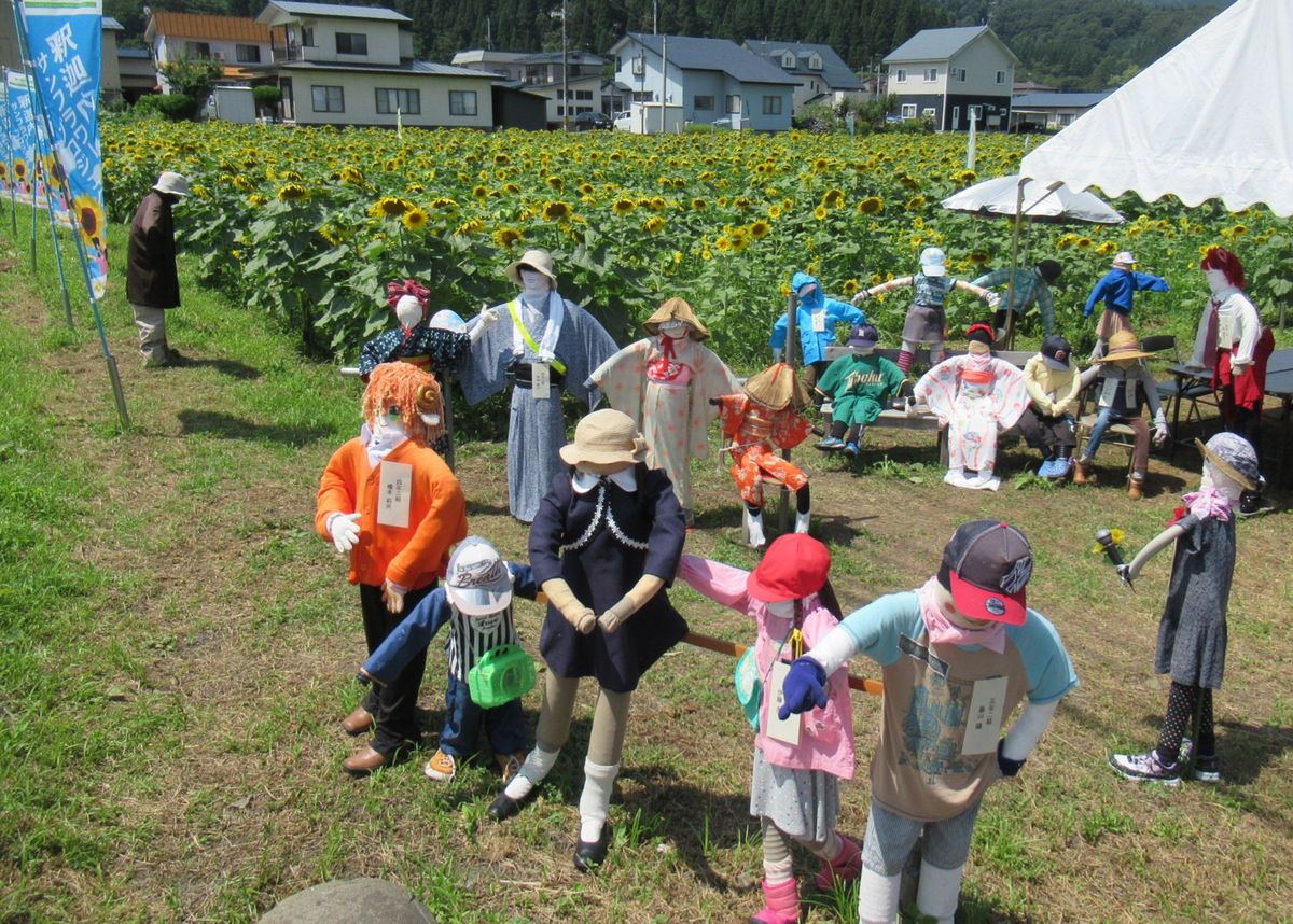 ひまわり🌻