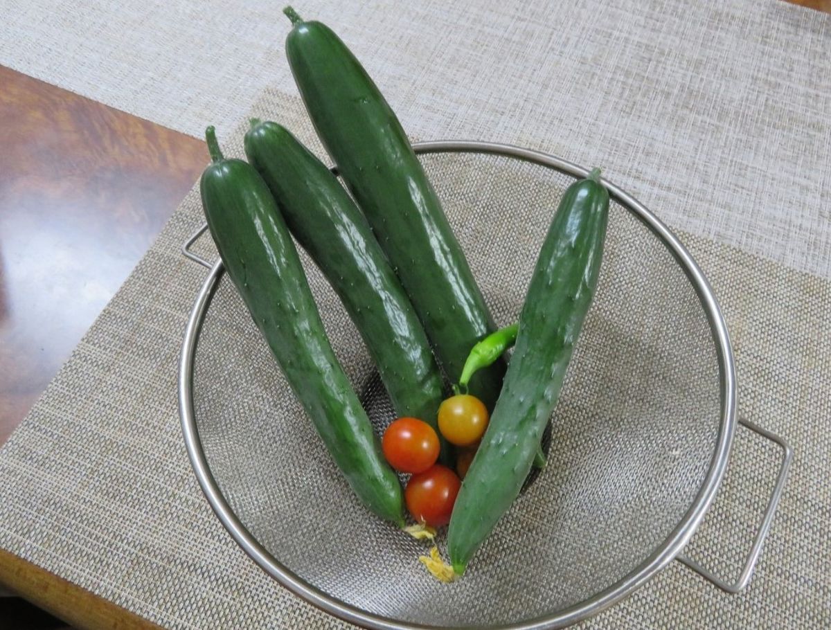 我家で🍅実となる野菜(その14)