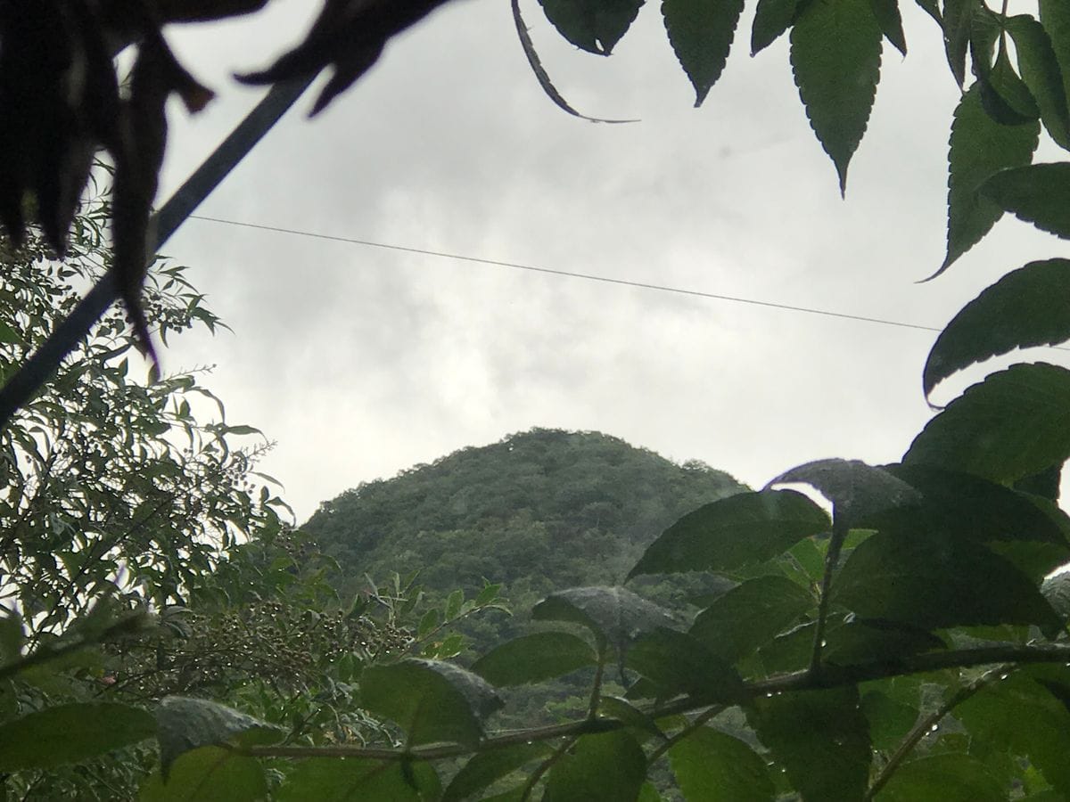 台風10号の被害はありませんでしたか〜〜