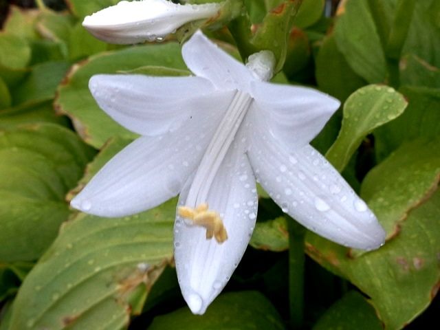 風雨が弱まりました