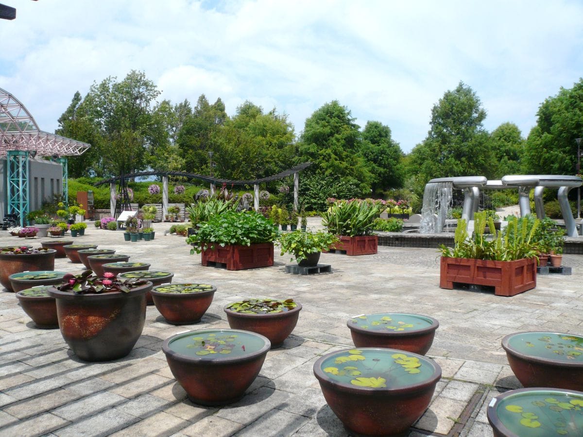 雨ニモマケズ風ニモマケズ　開園