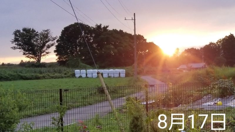 収穫の夏、豊穣の秋