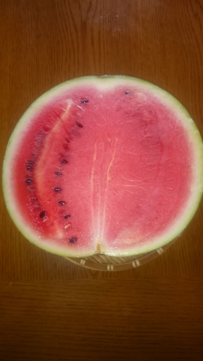 🍉スイカも日焼けするのね☀