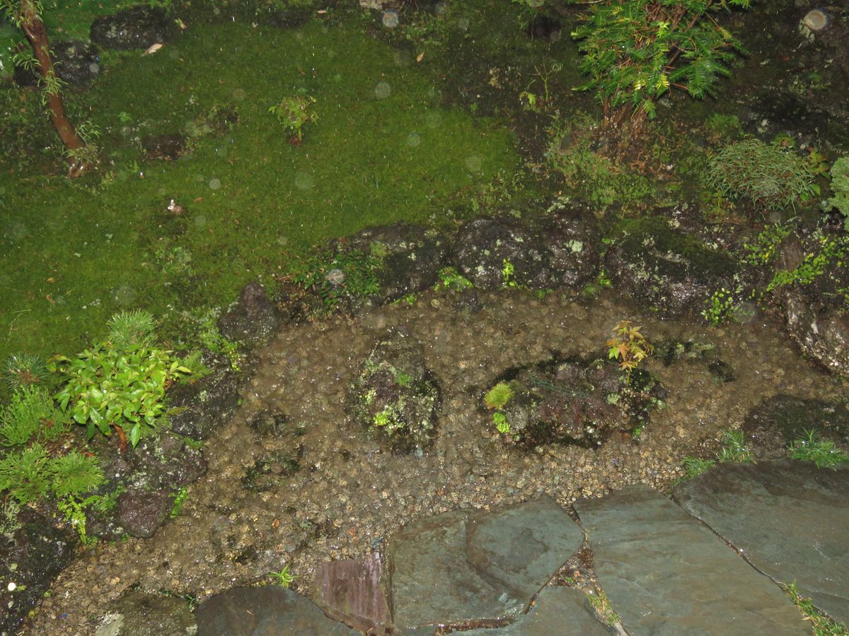 激しい雨で水没する小島(2)