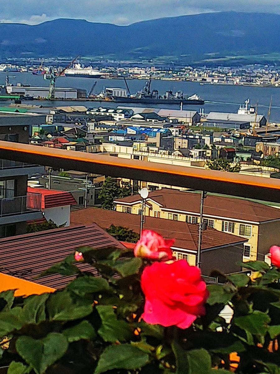 インパチェンスとベイエリア⛴️