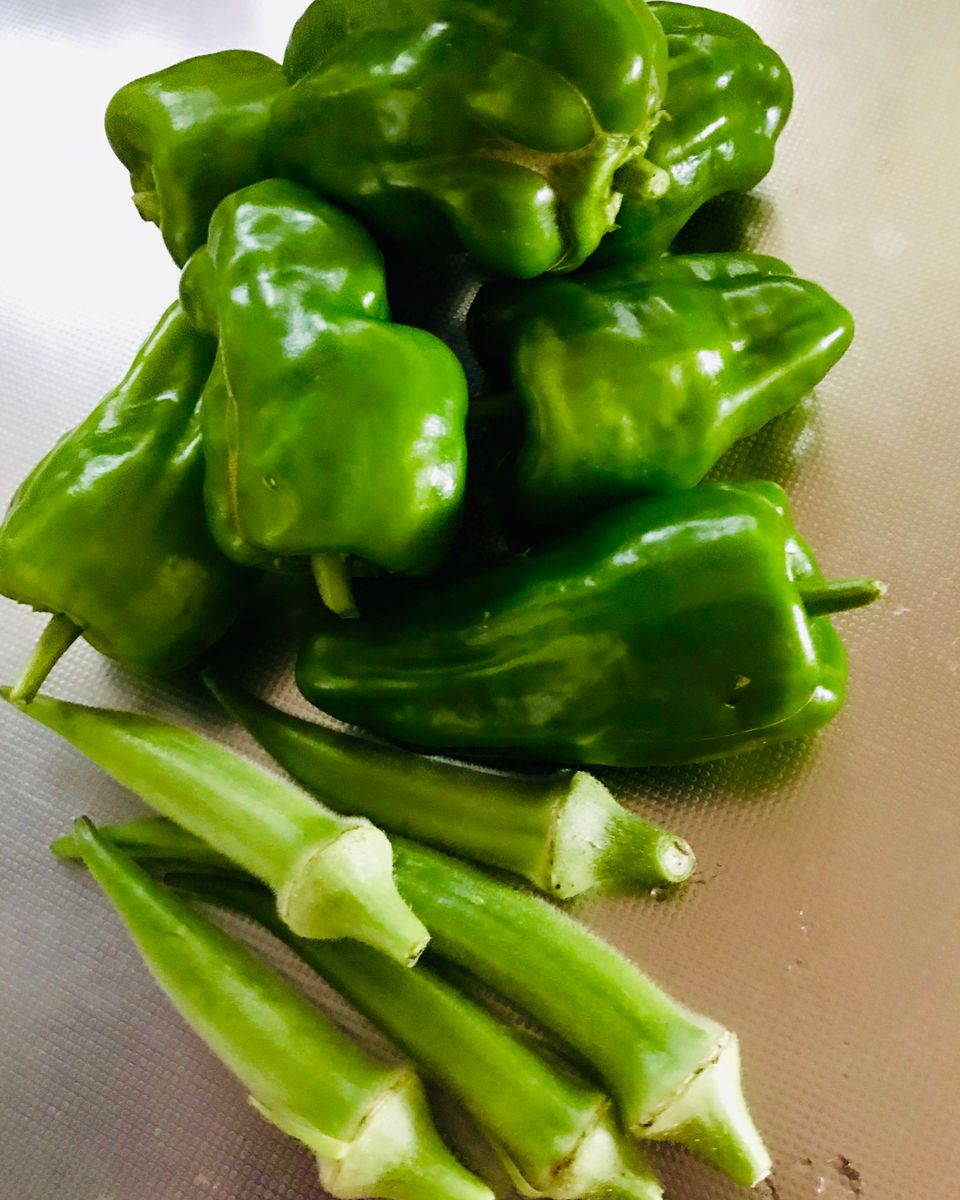 畑は秋野菜の準備