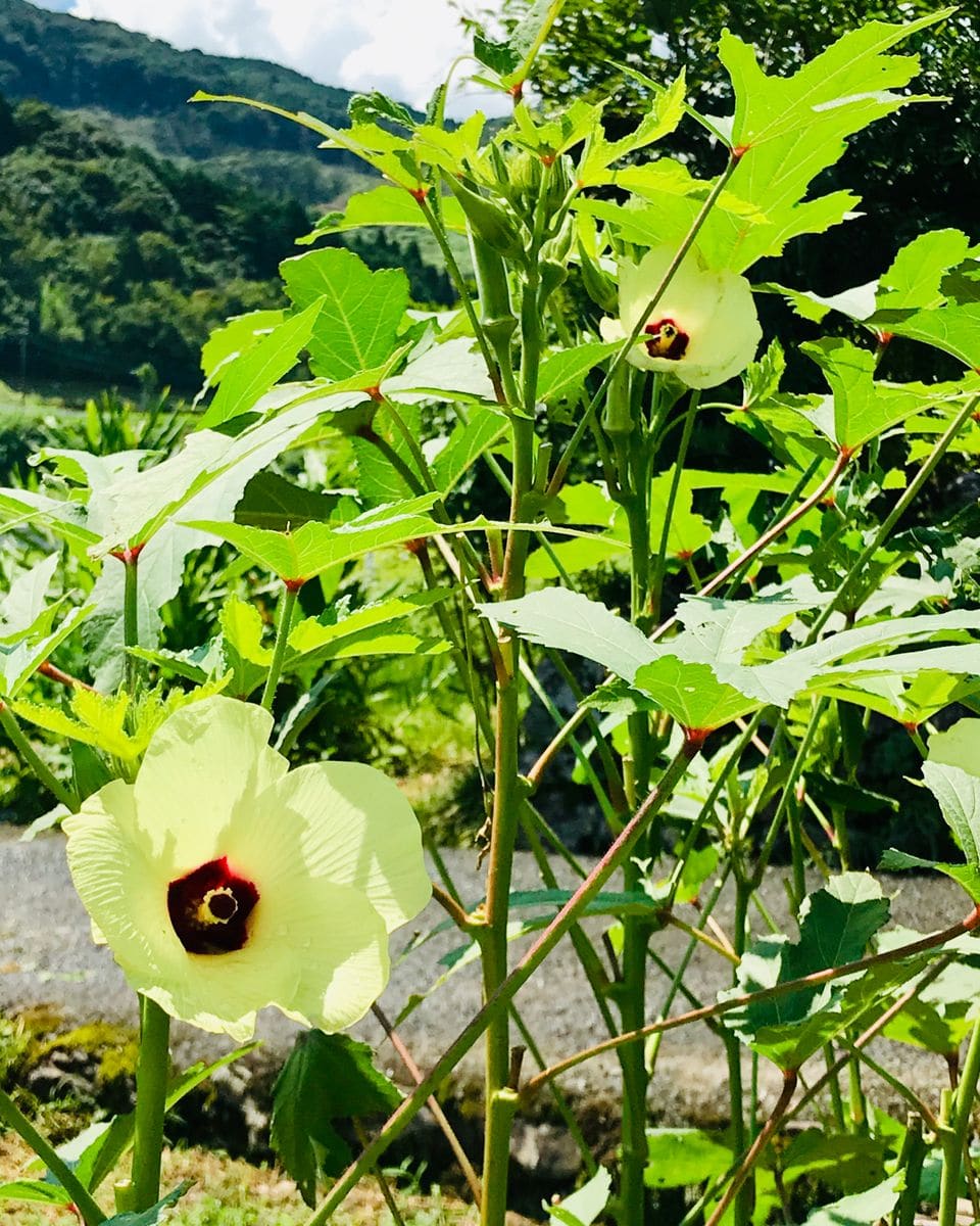 暗くなり、厚い雲が…どしゃ降りの雨