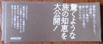 種子たちの知恵