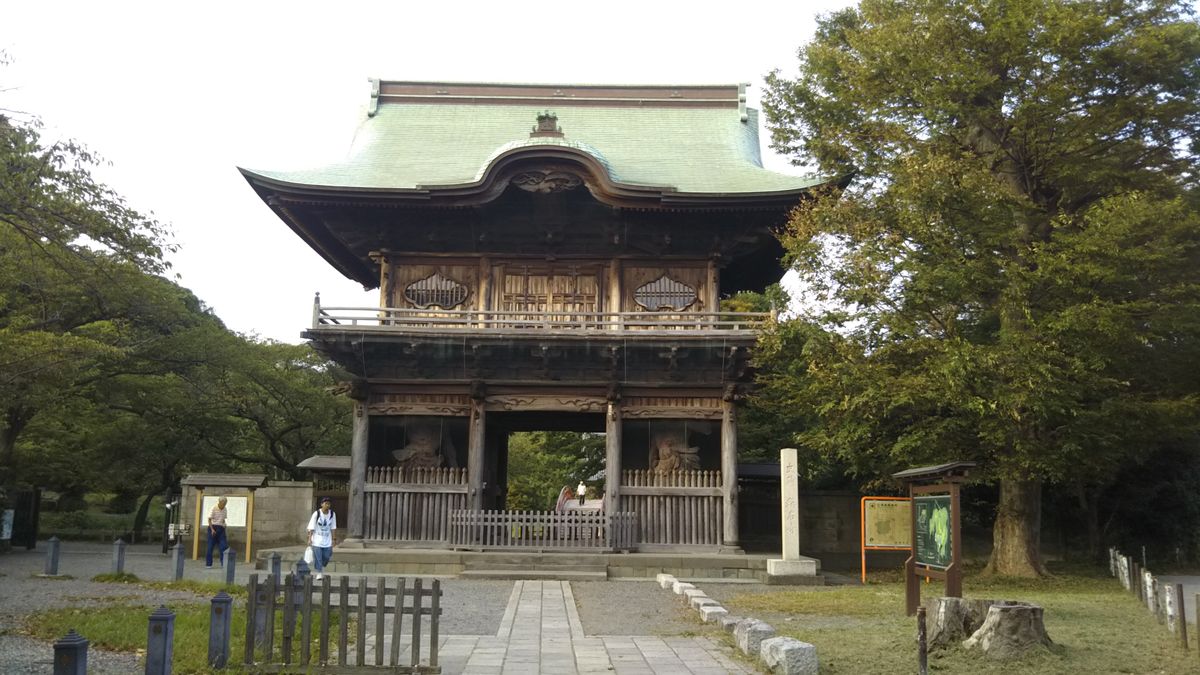 秋晴れの１日🌫️💮