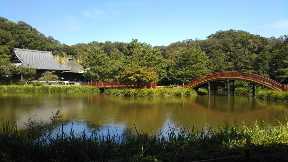 秋晴れの１日🌫️💮