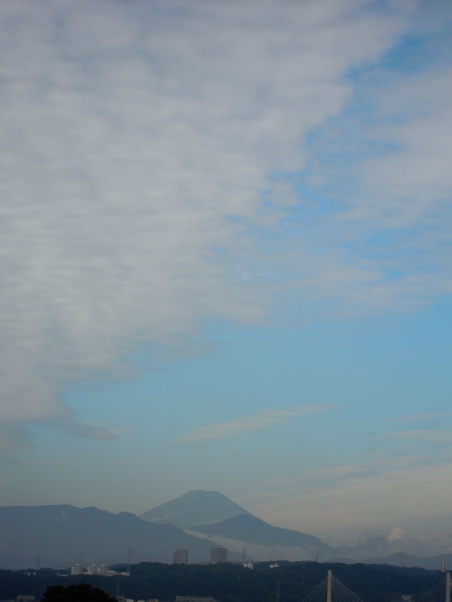 朝から青空です。