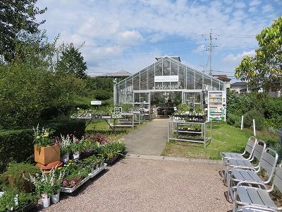 生活の木_薬香草園_ハーブ（埼玉県飯能市）