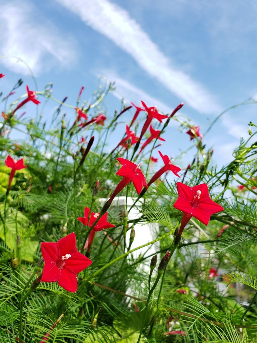 おはようございます～☀️😃❗