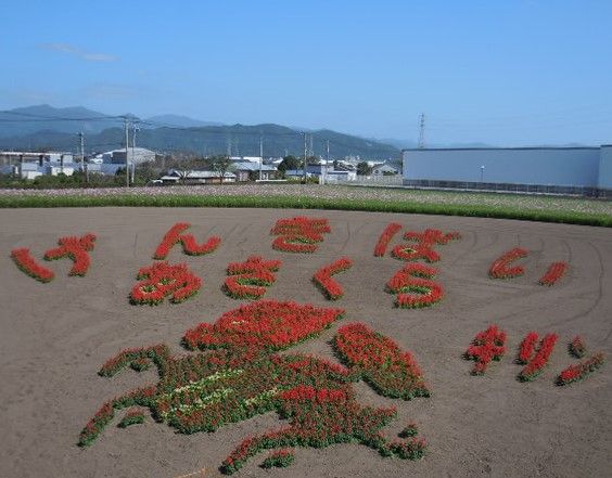 行ってきました、大分・・・