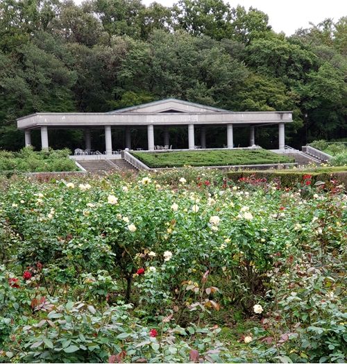 神代植物園に行って来ました。