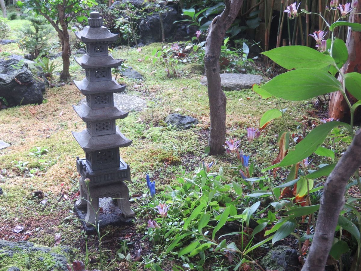 ホトトギスの花が秋の訪れを知らせる