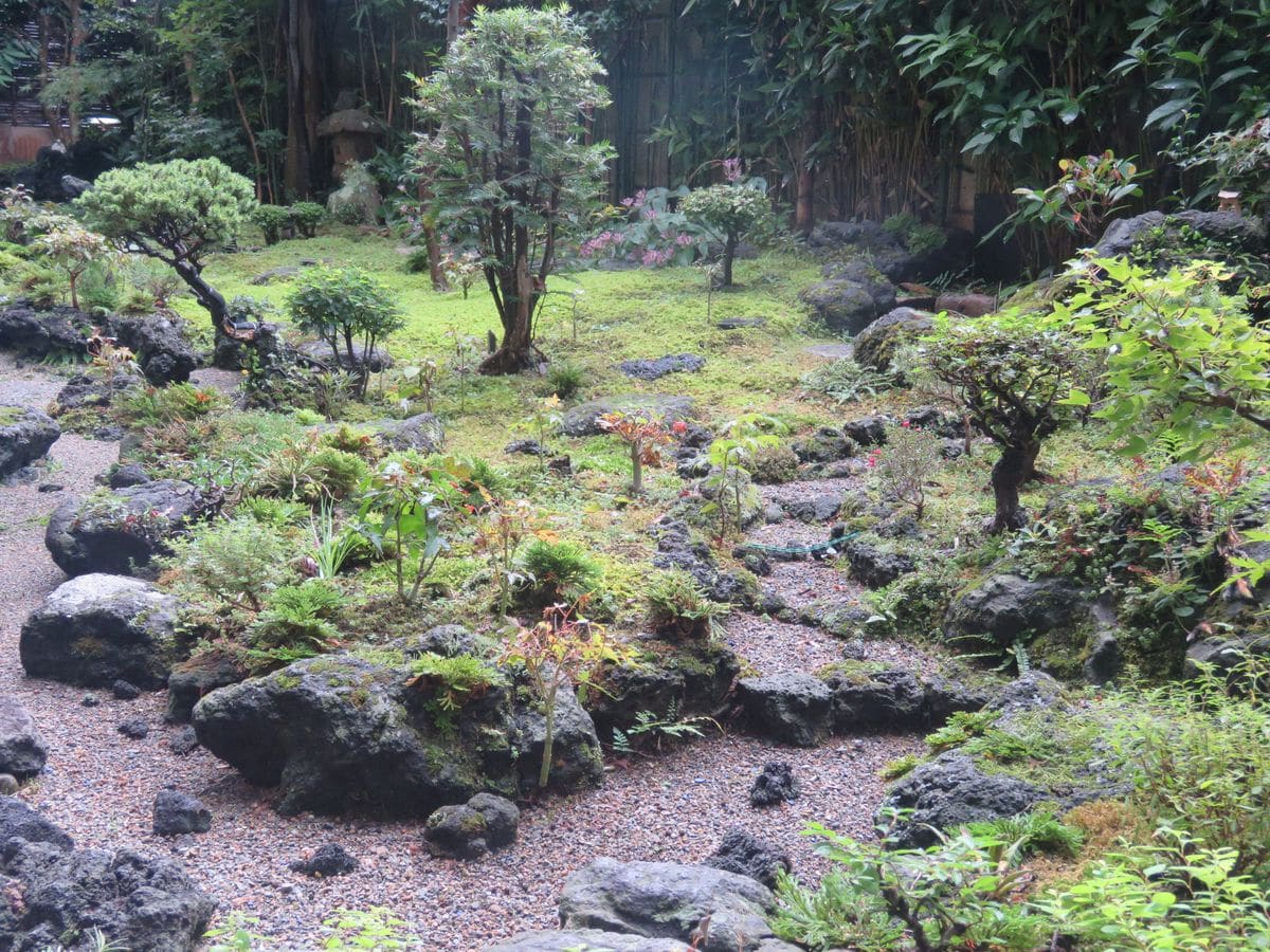 静かな時が流れる苔庭。