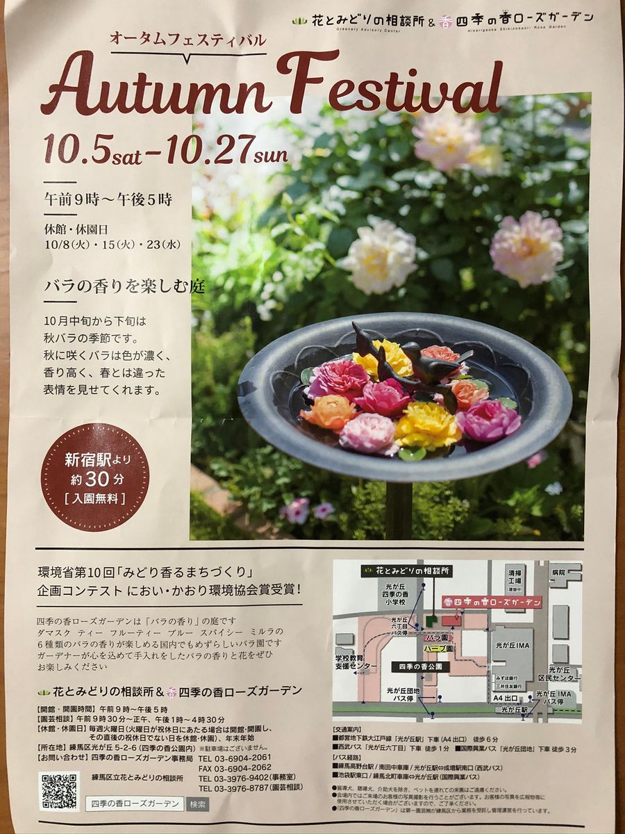 秋薔薇を見に公園へ