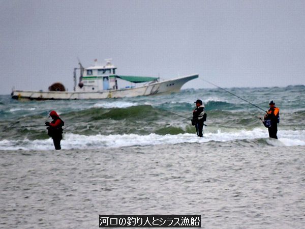 ウォーキングMS⑦ 315日目(2445日目)