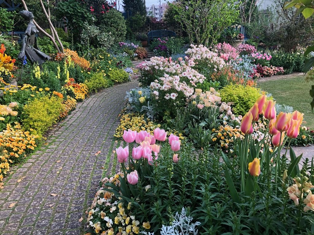 冬花壇に植替え