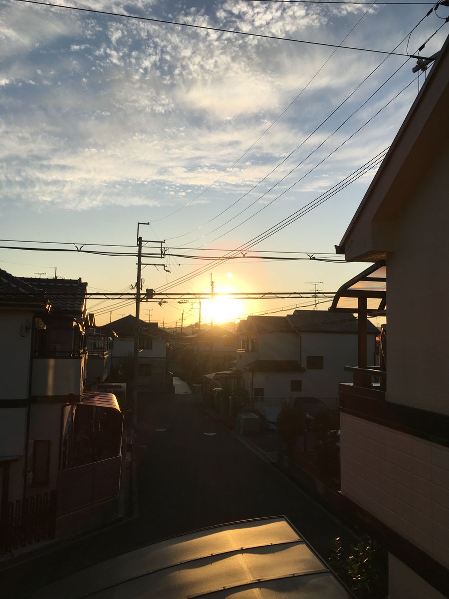 秋晴れが続いています☀️