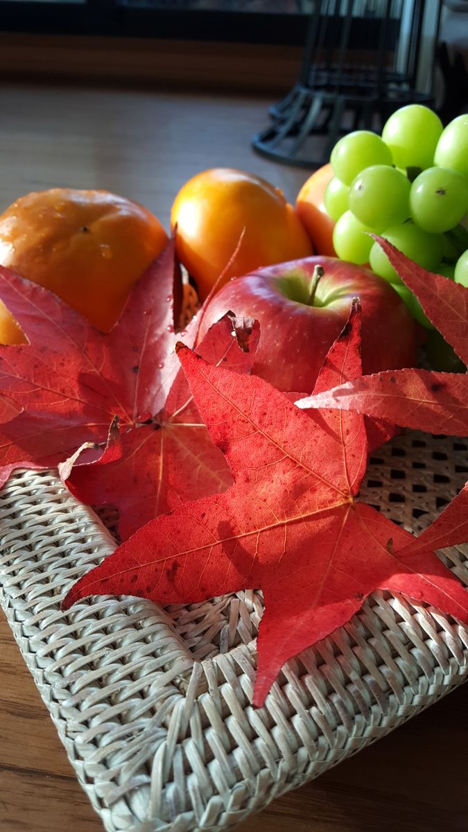 ふくおかルーバルガーデン2～秋の庭便り🍁🍁…美しい紅葉と、晴々とした幸せな日😉