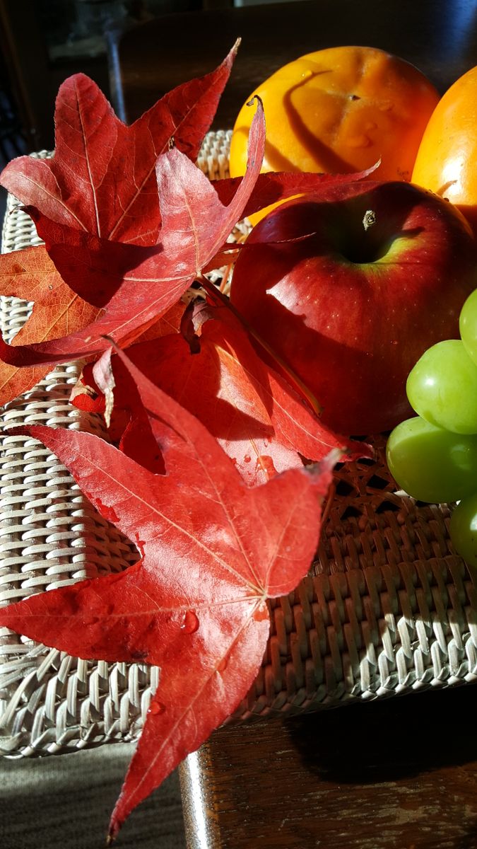 ふくおかルーバルガーデン2～秋の庭便り🍁🍁…美しい紅葉と、晴々とした幸せな日😉