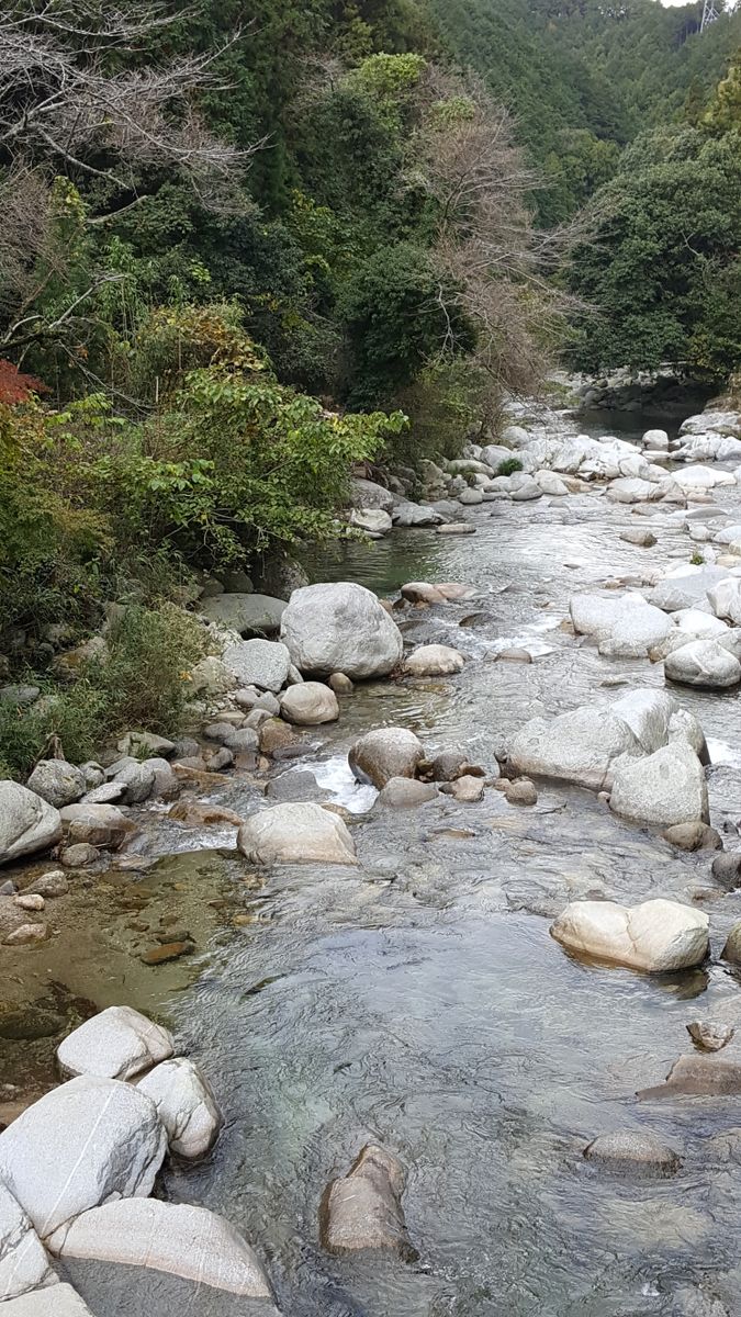 ふくおかルーバルガーデン2～秋の庭便り🍁🍁…日暮れが早くなりましたね😢