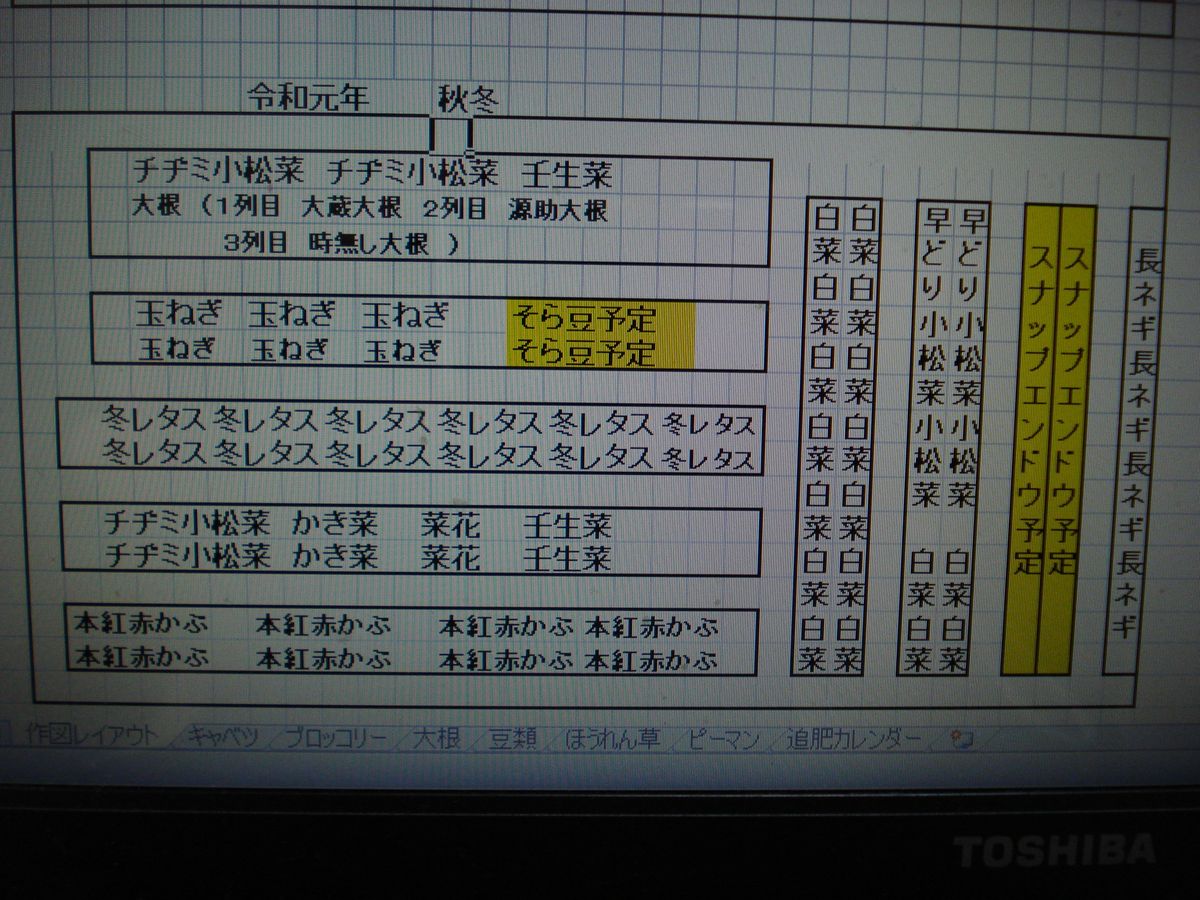 畑の記録　春夏秋冬😊