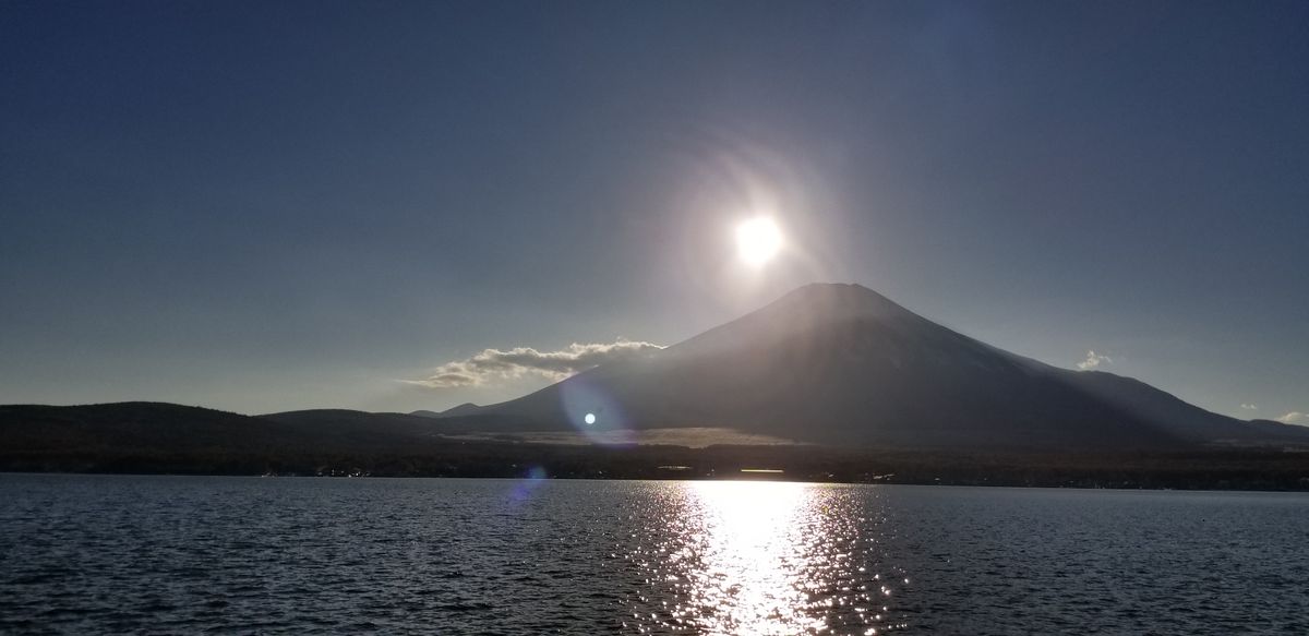 山中湖に白鳥が!!!