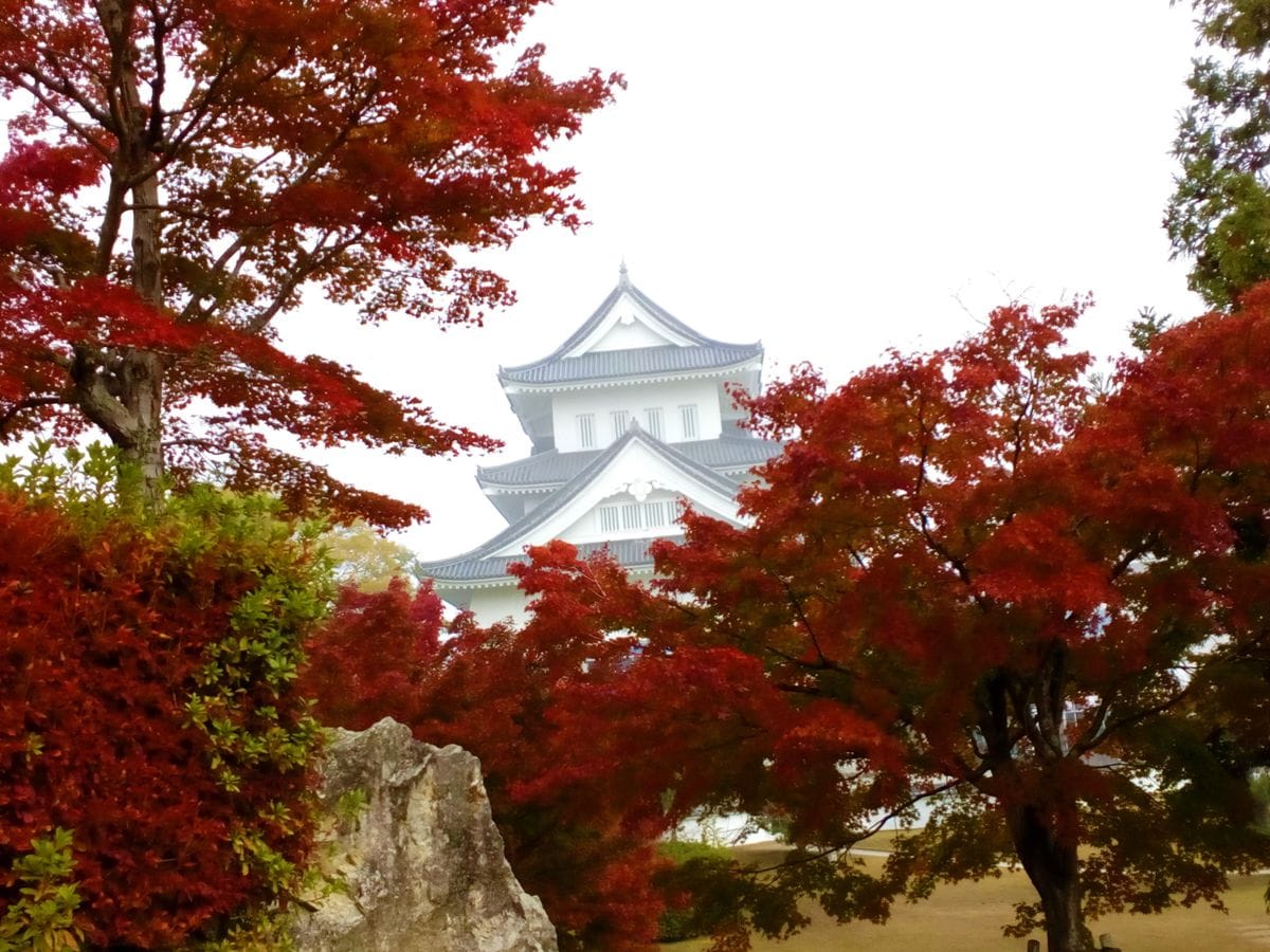 何気なく行って、見つけた最高の『紅葉』[i:236][i:236]