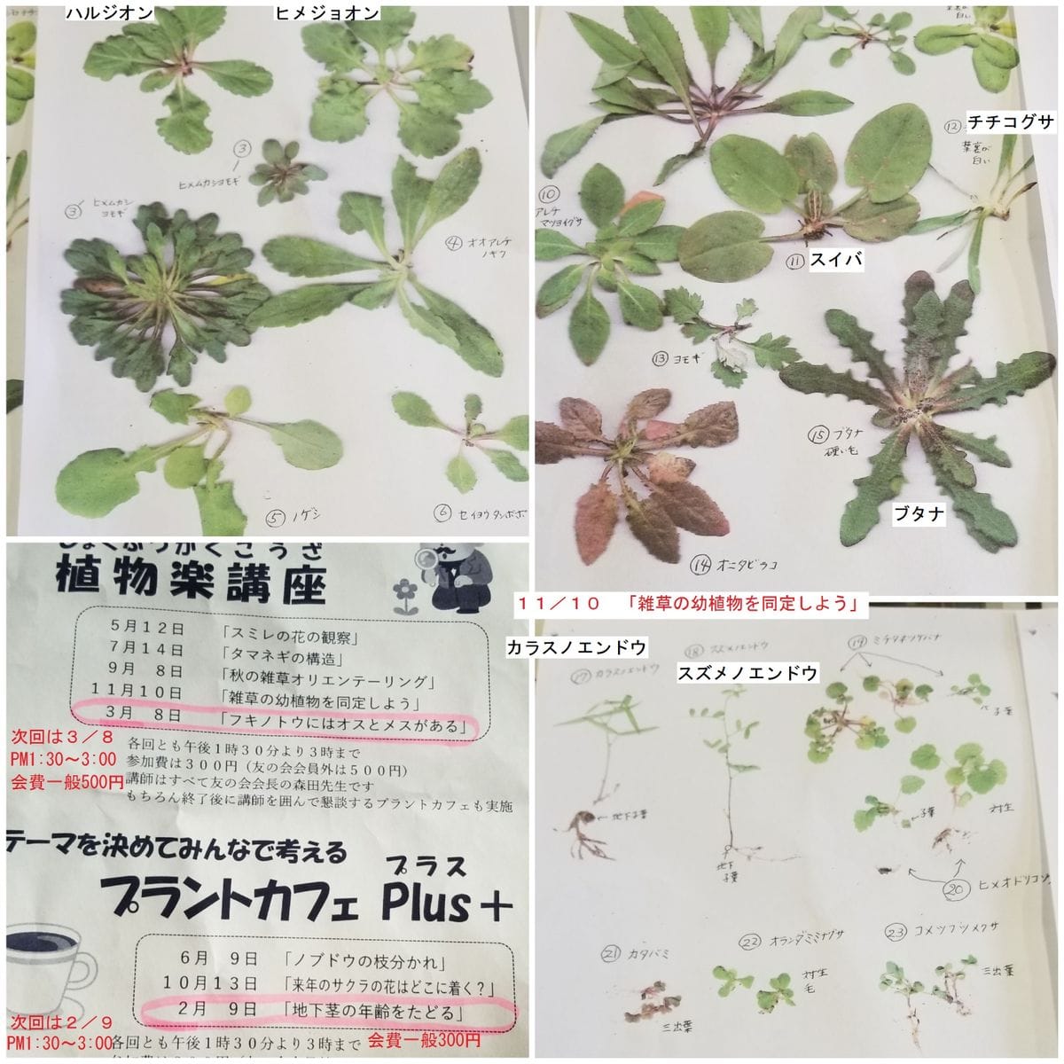 面白い～「植物楽講座」