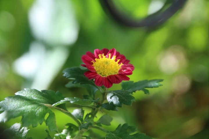 日々の小さな楽しみ😌