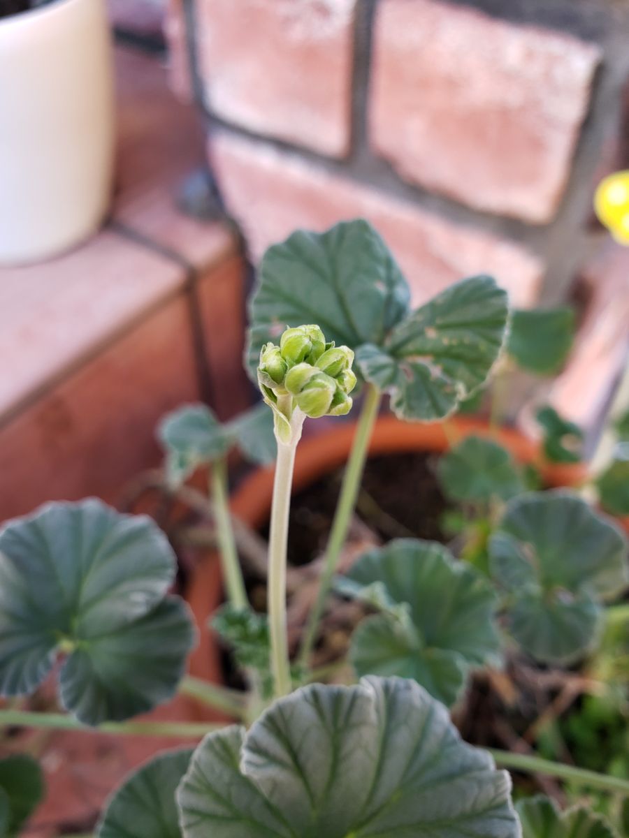 癒しの時間🍀