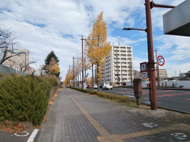 浜松市役所前の花壇