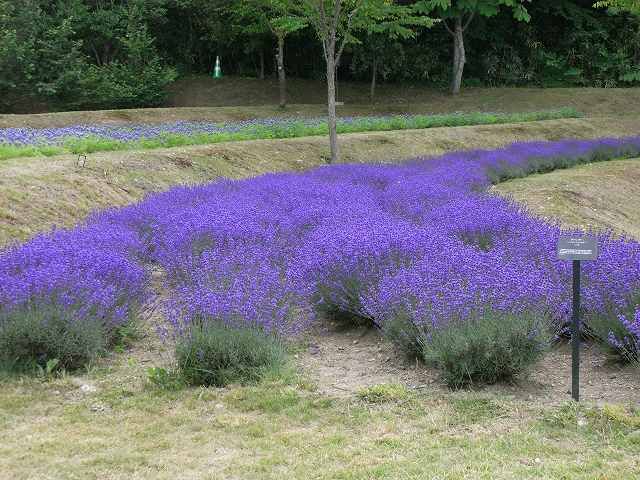 滝野すずらん公園に行ってきた３