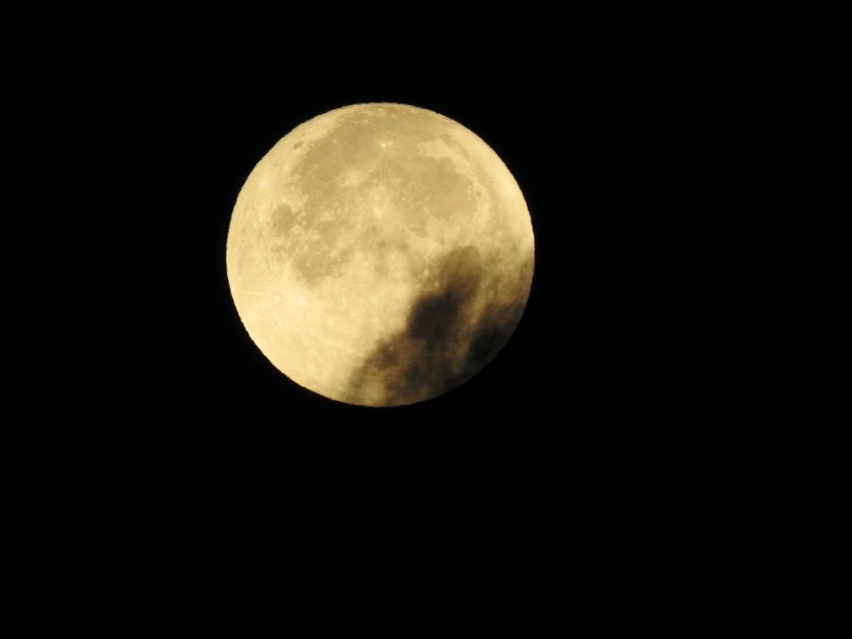 寄せ植え植え。お月様今朝と昨夜。