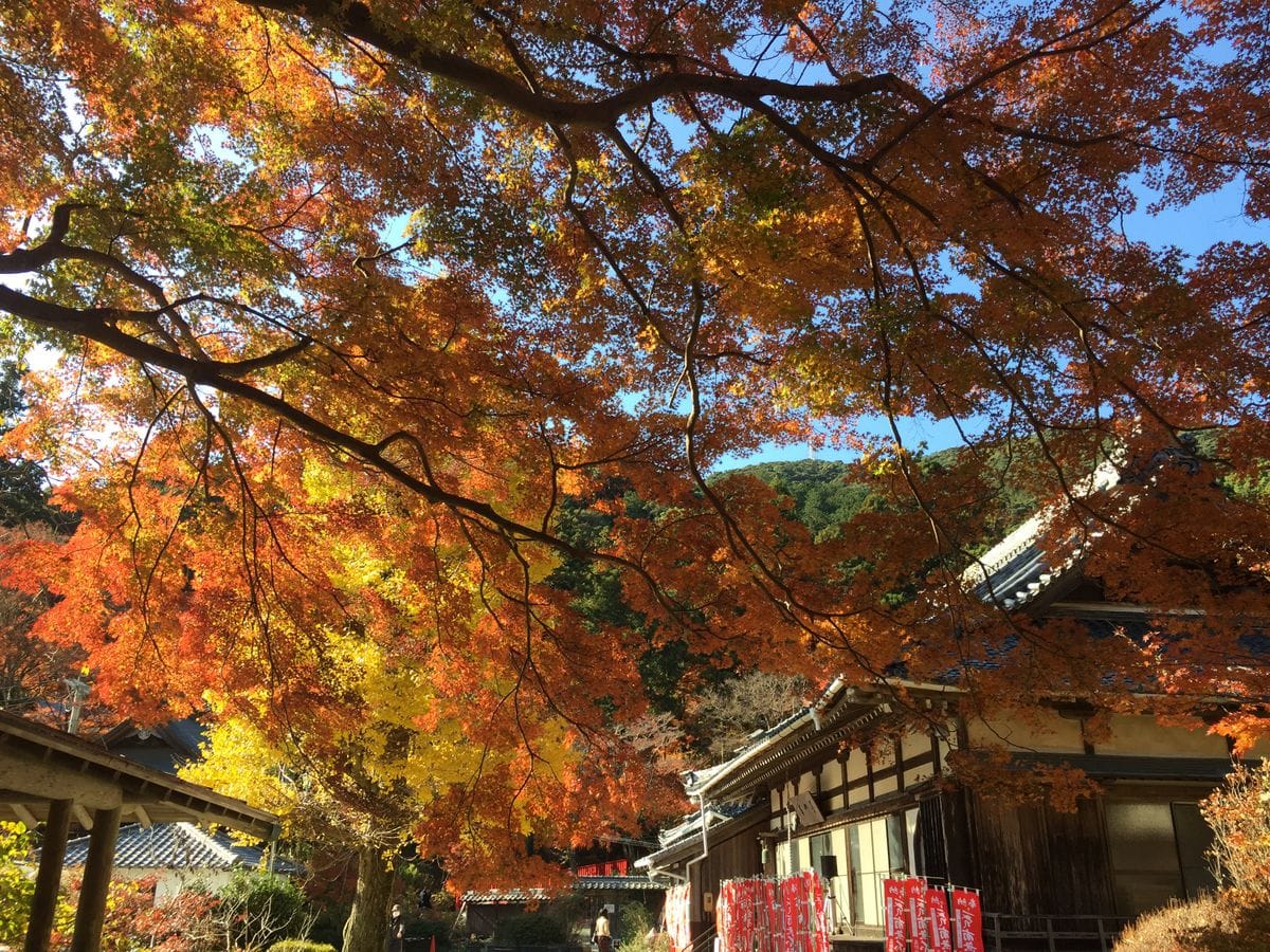 普門寺