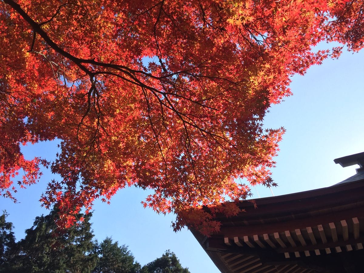 普門寺