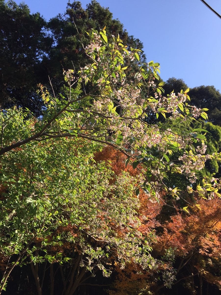 普門寺