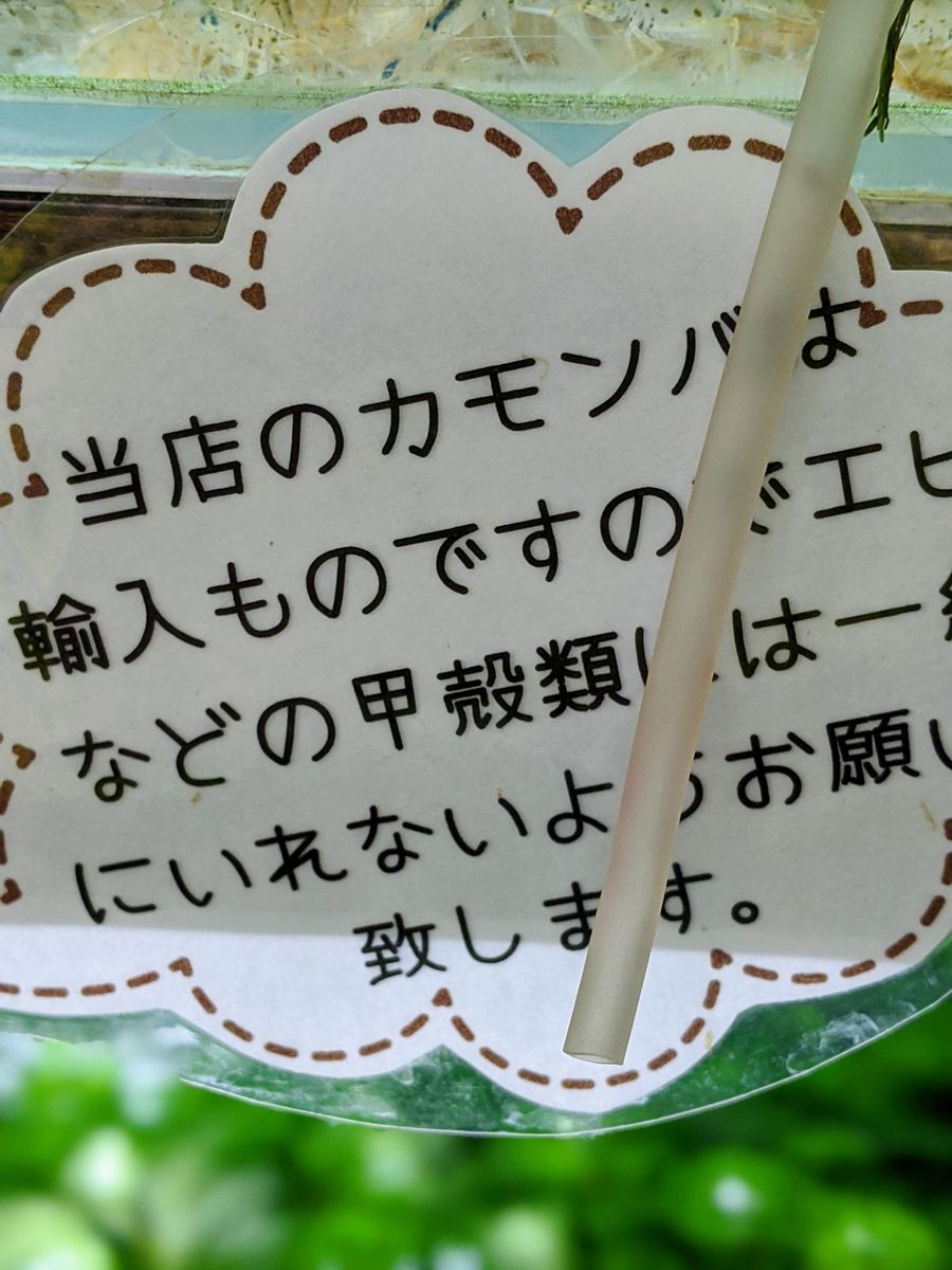 海老には外国産の水草は不可