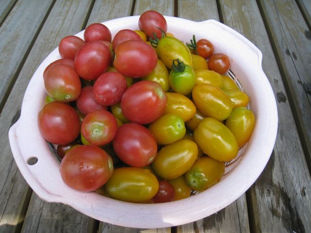 野菜の時間⑥