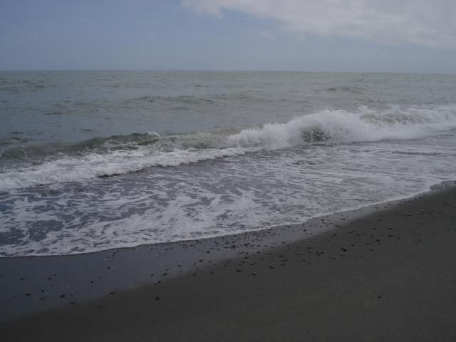 流木っ恐るべし。侮るなかれ･･･されど、流木。