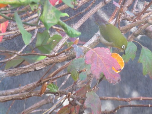 ３が日も今日で終わり