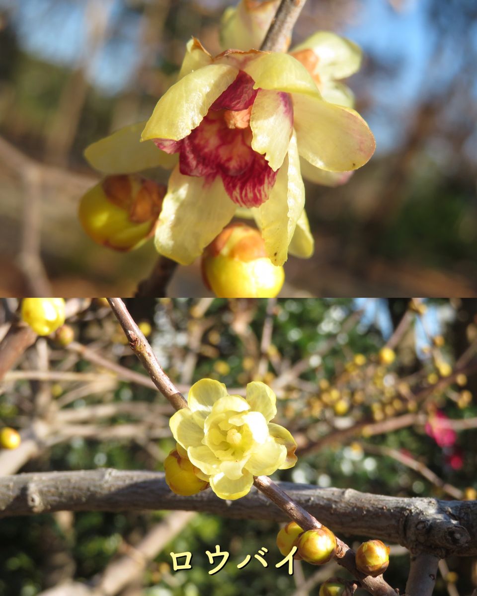 動植物園へお出かけ