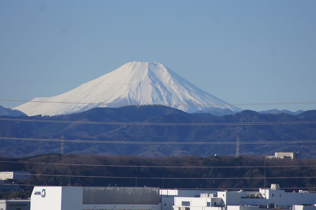 新春の富士山