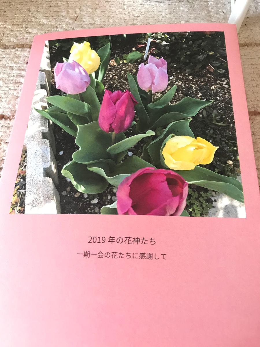 フォトブック　新刊出来ました❣️