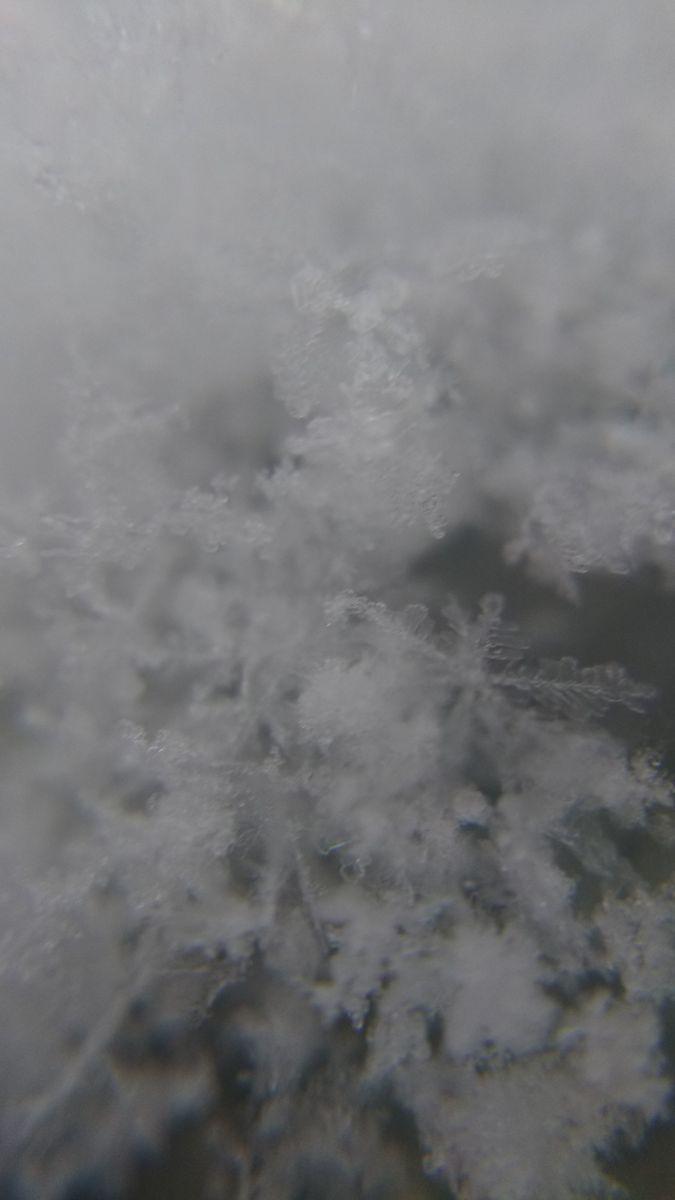 あっという間に雪景色⛄️