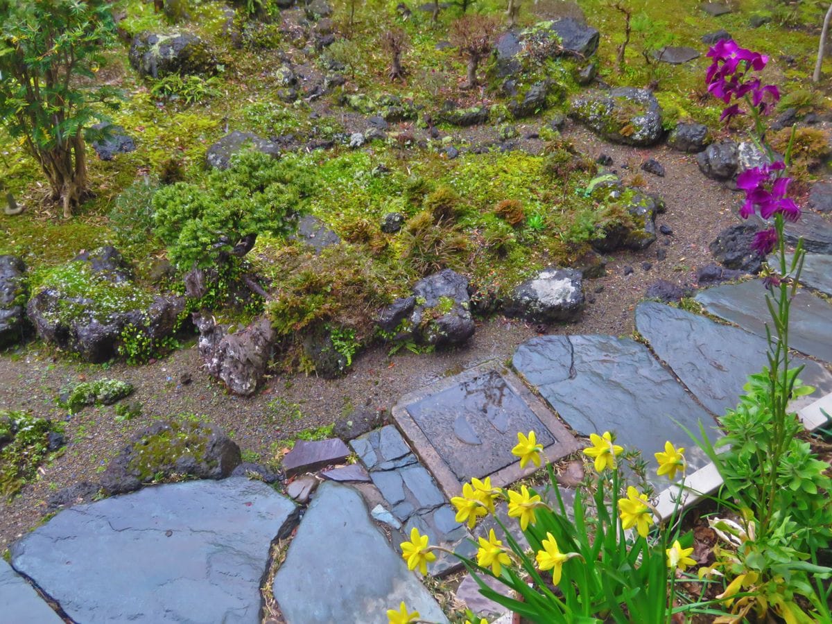 『縮景苔庭』ちらつく雪