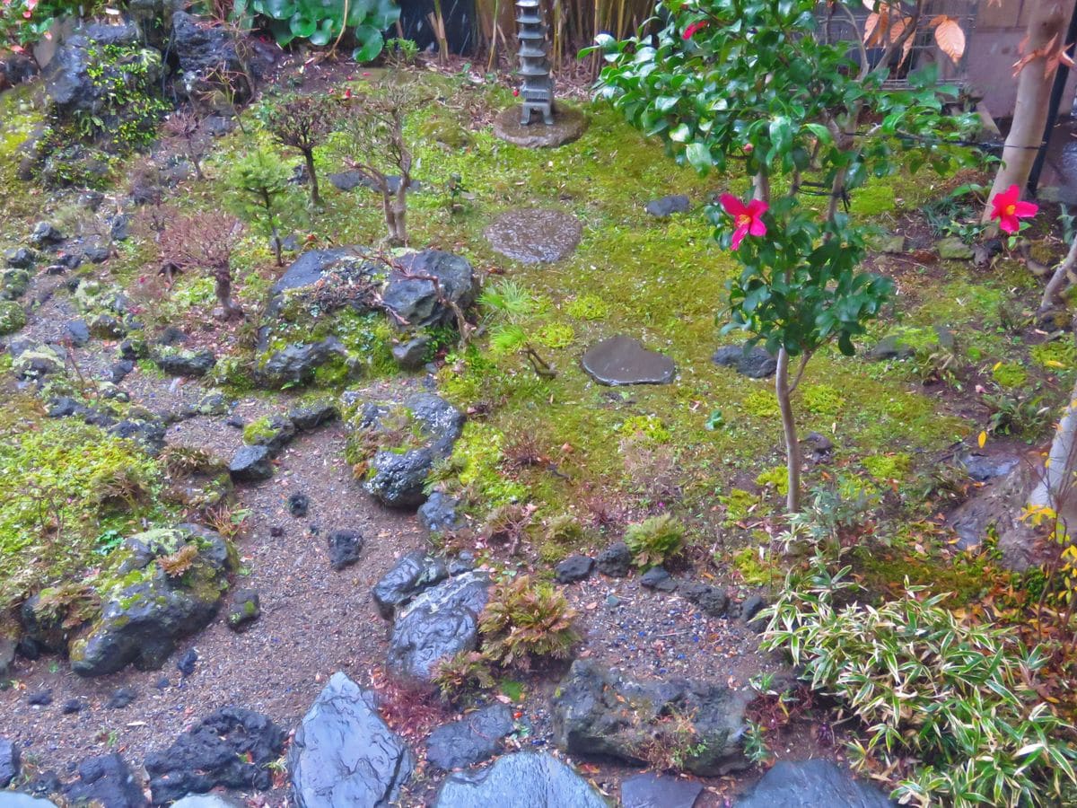 『縮景苔庭』ちらつく雪